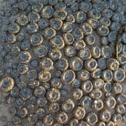 2014-01-17 PointReyesCamping 016 : 2014-01-17_PointReyesCamping